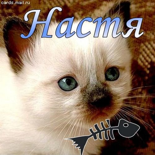 Люблю тебя Настюша