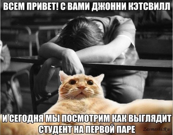 Приколы про студентов