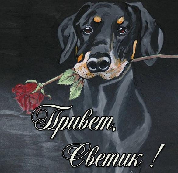 Привет Марина