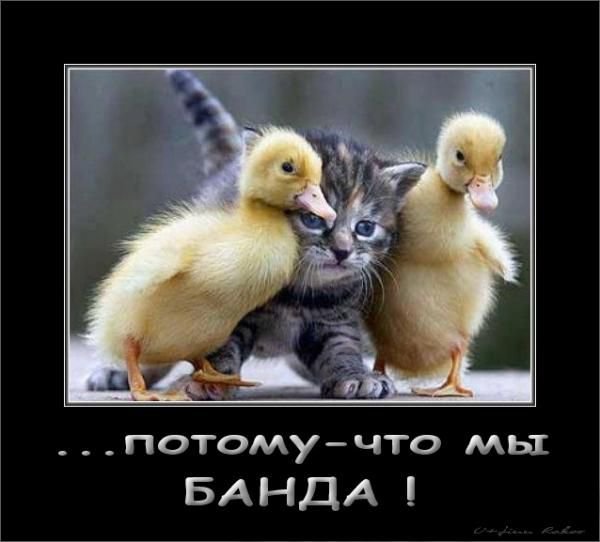 Всем привет анимация