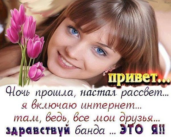 Привет банда картинки смешные