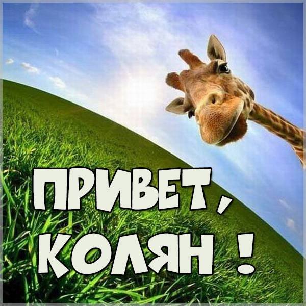Привет родня прикольные картинки