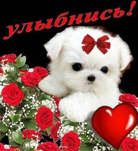 Красивая открытка для девочки