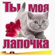Лапочка моя любимая