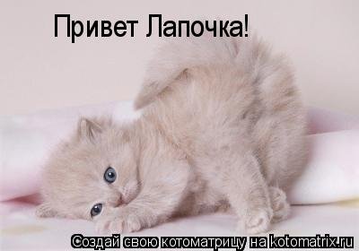 Открытки для девочки просто так