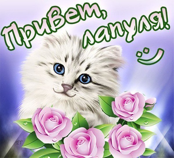 Открытки люблю целую