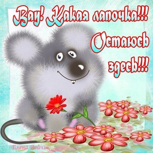 Ты моя лапочка
