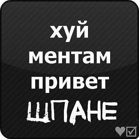 Привет бродяги