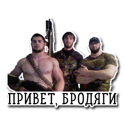 Привет бродяги