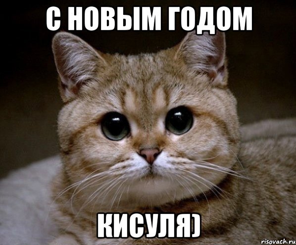 Доброе утро кошечка с сердечком