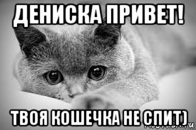 Привет Дениска