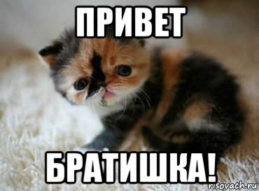 Юрок прикол