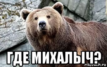 Михалыч Мем