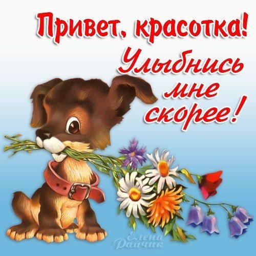 Хорошего дня красавица