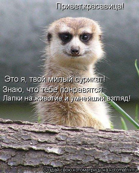 Я В отпуске