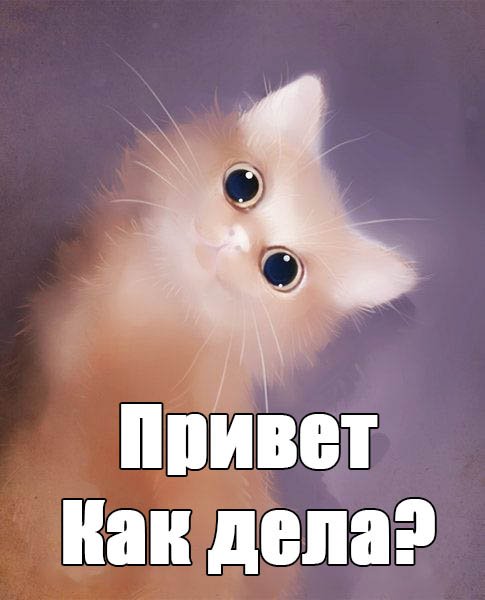 Привет Катя картинки
