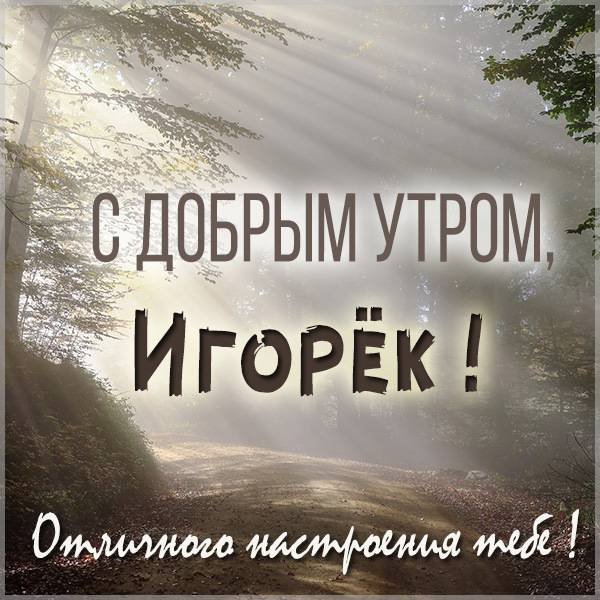 С добрым утром КОЛЕНЬКП