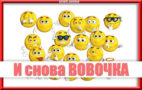 Шутки про Вована