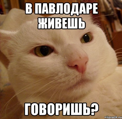 Доброй ночи Володя