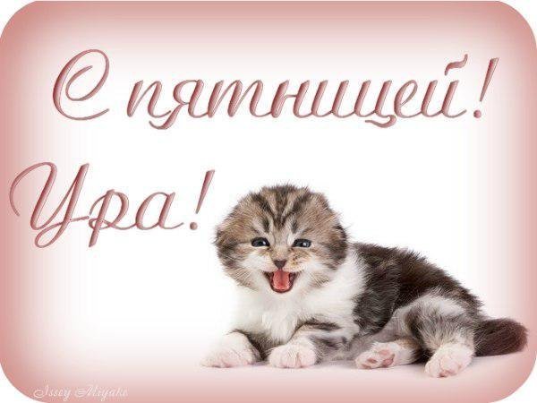С добрым утром Иришка