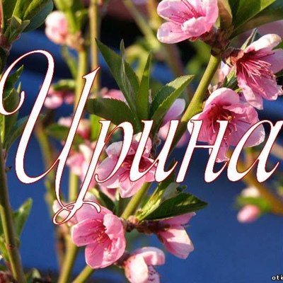 Красивые цветы для Ирины