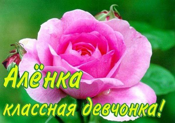 Открытка Аленка