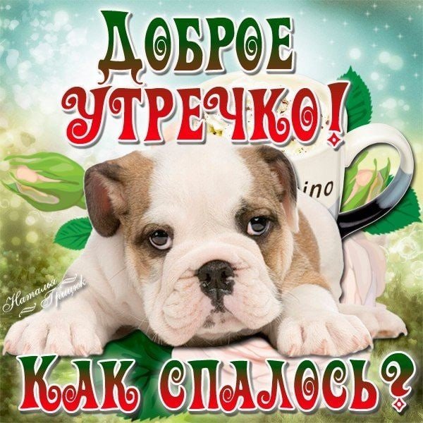 Пожелания с добрым утром с собаками