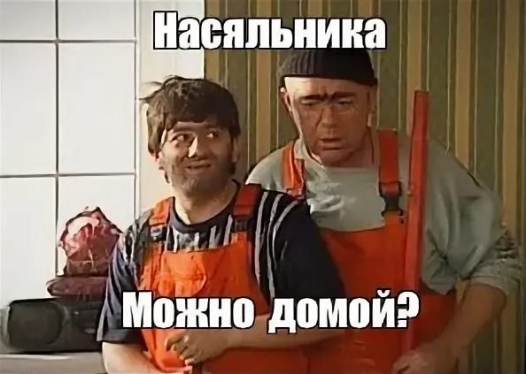 Наша раша Равшан и Джамшут начальника