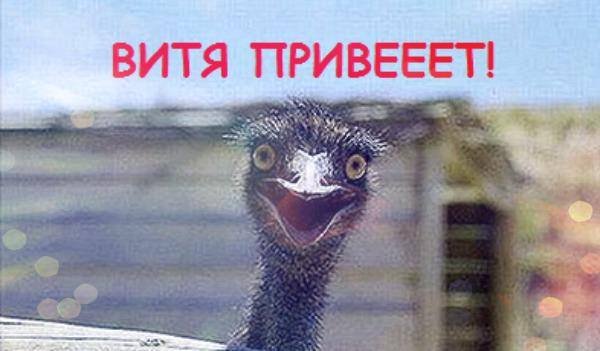 Витя надпись