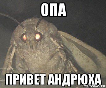 Привет Андрюха картинки