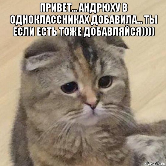 Привет Андрей Мем
