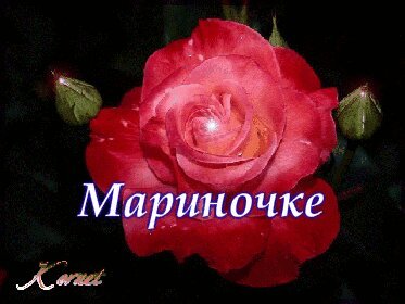 Цветы для Мариночки