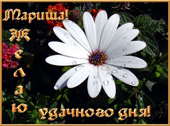 Открытки с именем Марина
