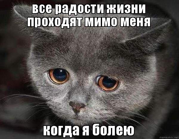 Любимый Ромочка