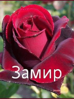 Цветы Арине