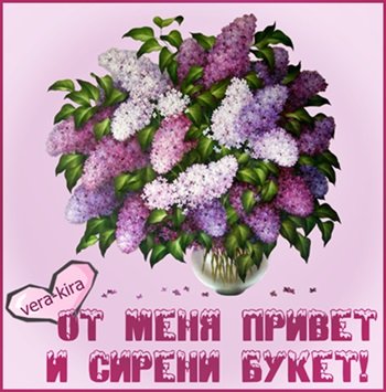 От меня привет и сирени букет