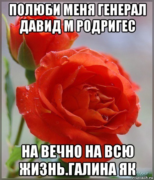Заяц Рубен