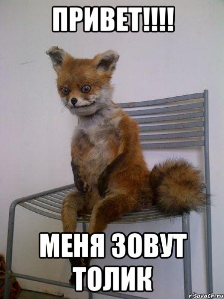 Упоротая лиса привет Мем