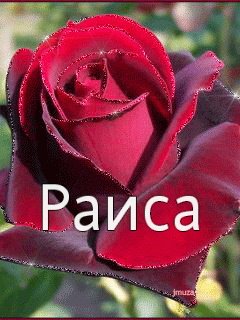 Раиса значение имени