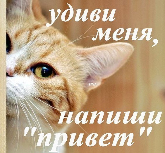 Всем привет картинки