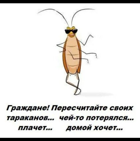 Смешное про тараканов