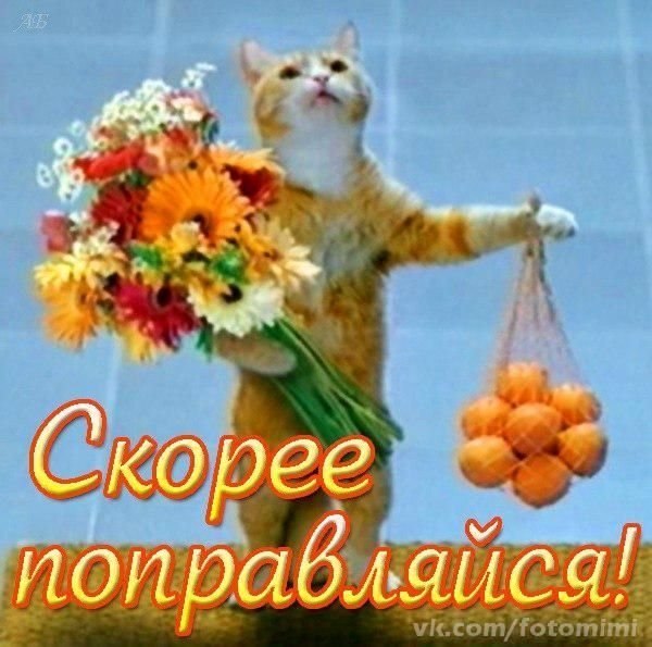 Выздоравливай скорей