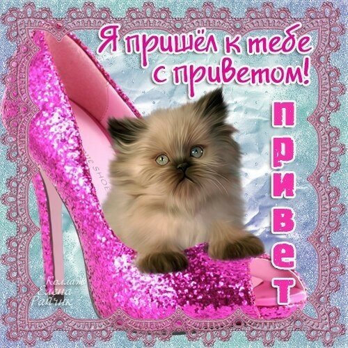 Лучший Мем 2022