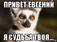 Привет Евгений