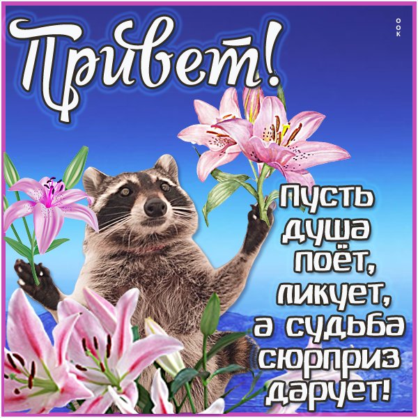 Открытка привет света