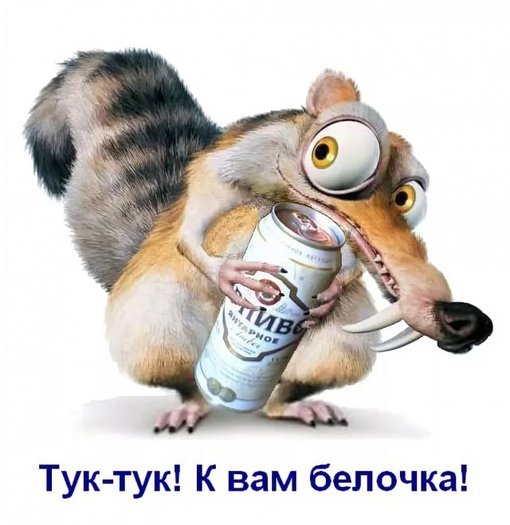 Пьяная Белочка