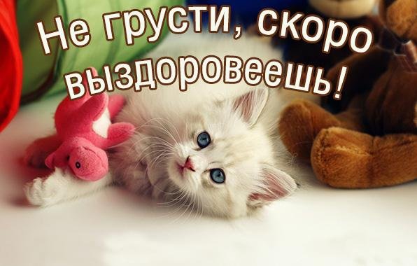Выздоравливай скорее