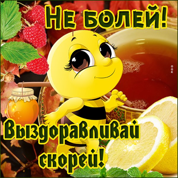 Не болей выздоравливай