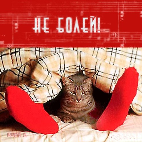 Выздоравливай скорее картинки
