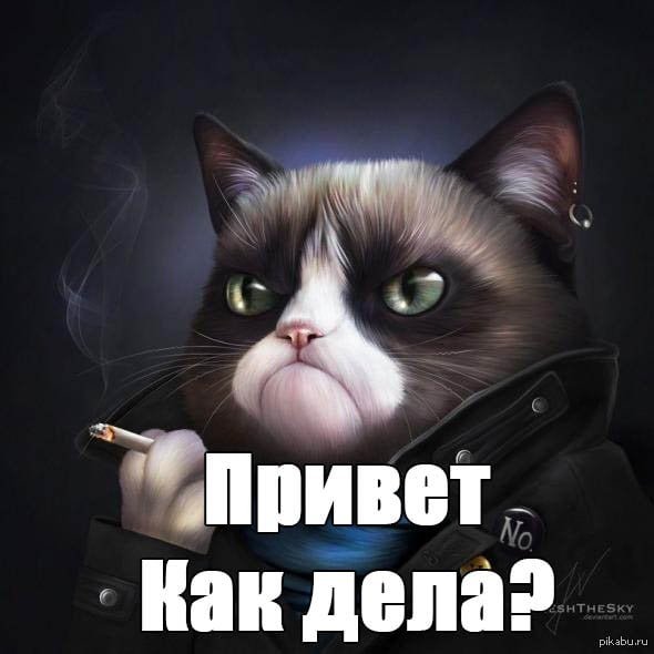 Как дела картинки прикольные